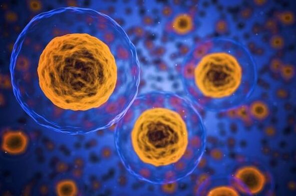 Как происходит процесс похудения